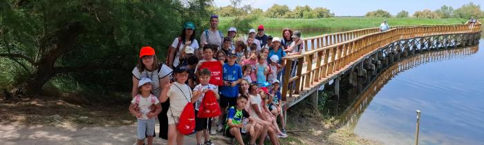 Tablas de Daimiel