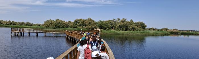 Tablas de Daimiel