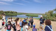 Tablas de Daimiel
