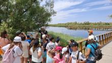 Tablas de Daimiel