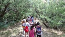 Tablas de Daimiel