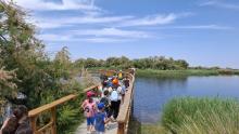 Tablas de Daimiel
