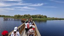 Tablas de Daimiel
