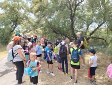 Tablas de Daimiel