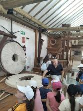 Tablas de Daimiel