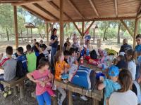 Tablas de Daimiel